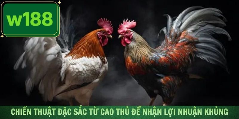 Áp dụng những chiến thuật đặc sắc từ cao thủ để nhận lợi nhuận khủng