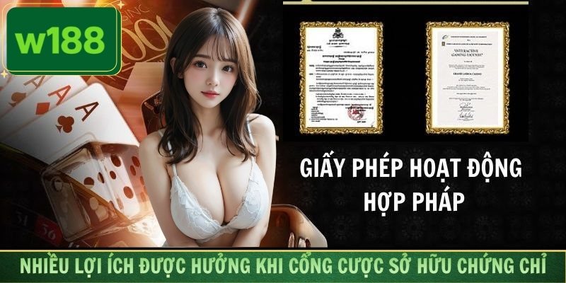 Nhiều lợi ích được hưởng khi cổng cược sở hữu chứng chỉ