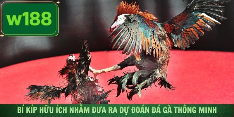 Nắm bắt các bí kíp hữu ích nhằm đưa ra dự đoán đá gà thông minh
