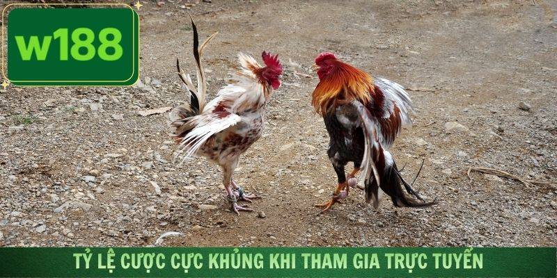 Tận hưởng tỷ lệ cược cực khủng khi tham gia trực tuyến
