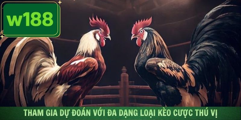 Tham gia dự đoán với đa dạng loại kèo cược thú vị