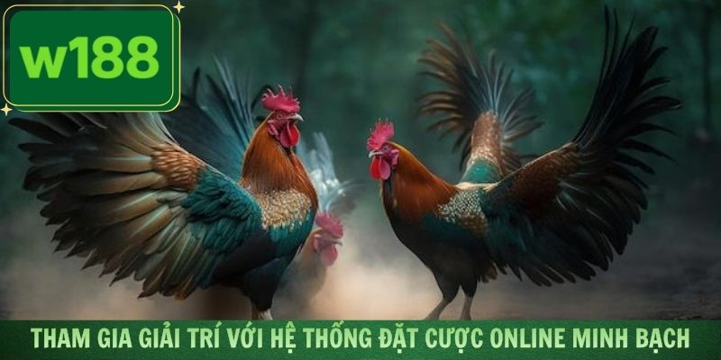 Tham gia giải trí với hệ thống đặt cược online minh bạch