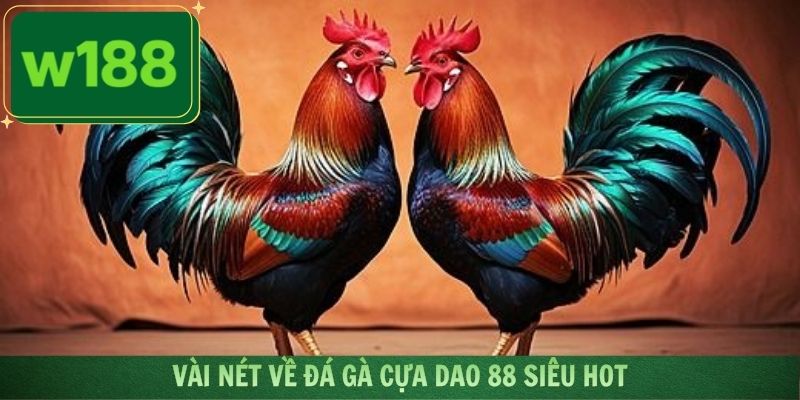 Vài nét về đá gà cựa dao 88 siêu hot